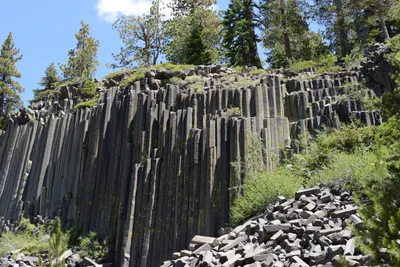 DSC_3680 (Large).JPG